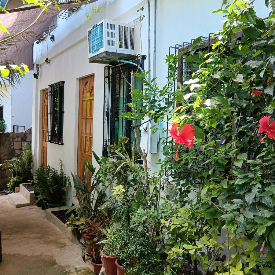 Susing Seaside Guesthouse Moalboal Ngoại thất bức ảnh