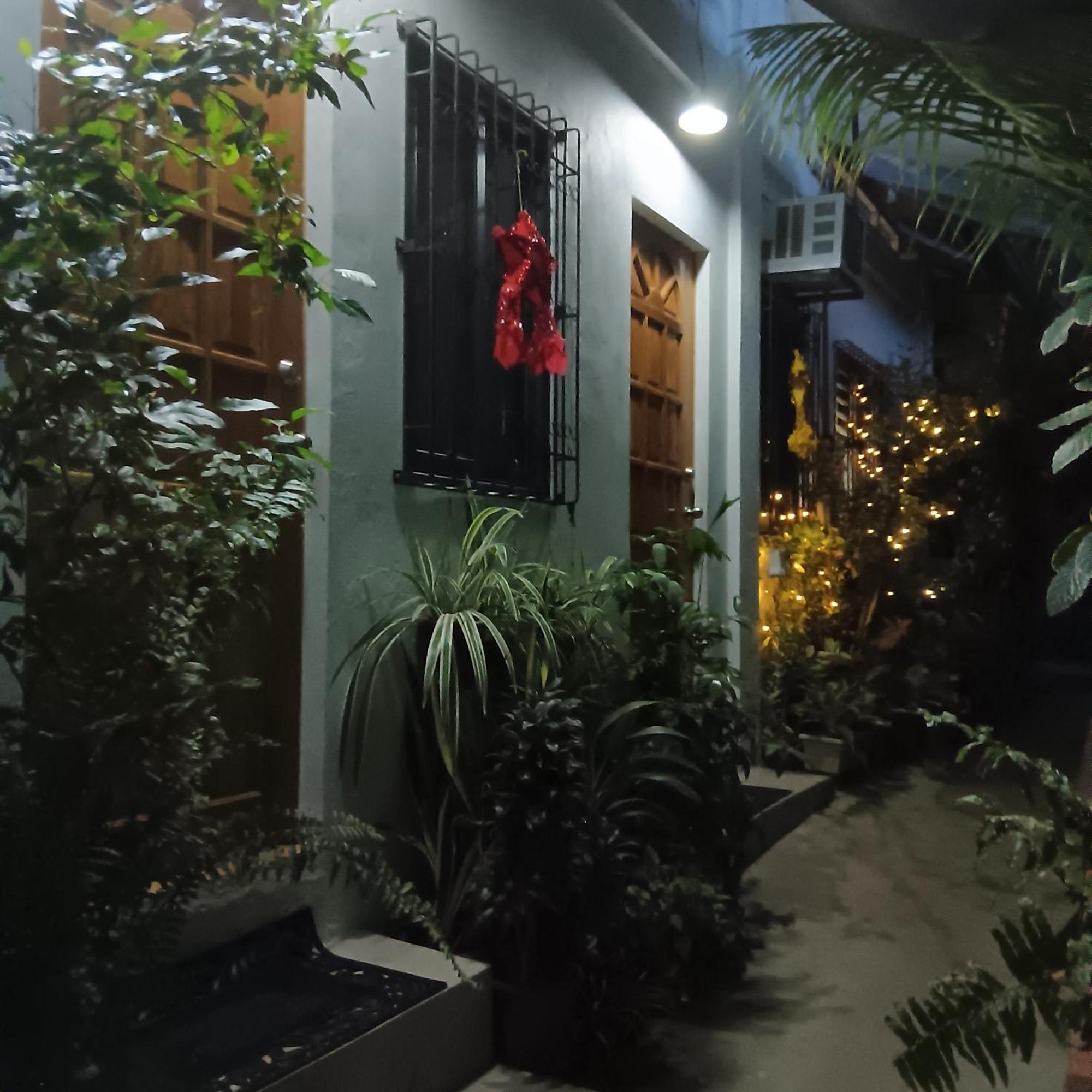 Susing Seaside Guesthouse Moalboal Ngoại thất bức ảnh